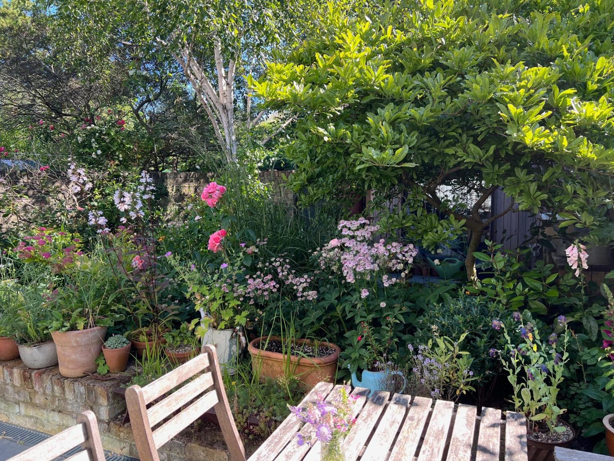 Bright And Elegant 2 Bedroom Flat, Near Notting Hill * Londres